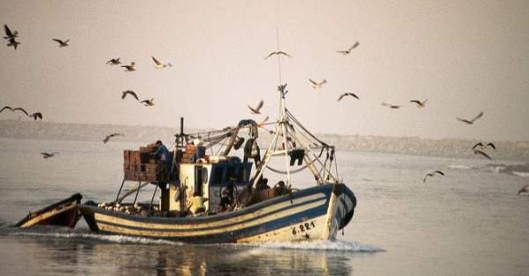 Ten die as fishing vessel sinks off Western Sahara