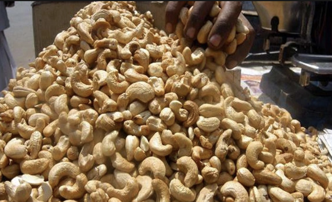 With $252m Revenue in 2022, Nigerian Government Moves to De-Risk Cashew Value-Chain to Boost Production, Export