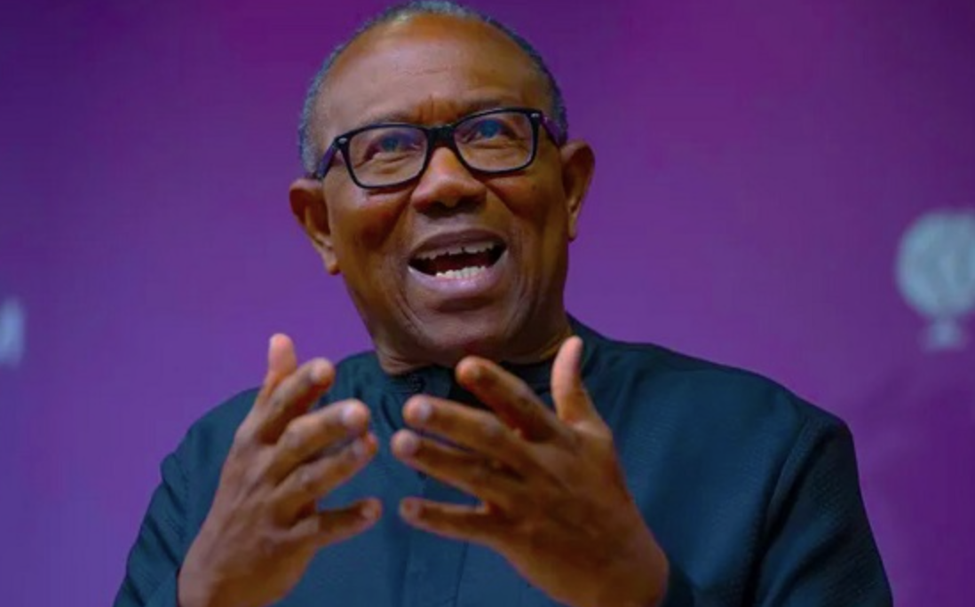 Desperate Politicians Bane of Nigeria's Unity - Peter Obi