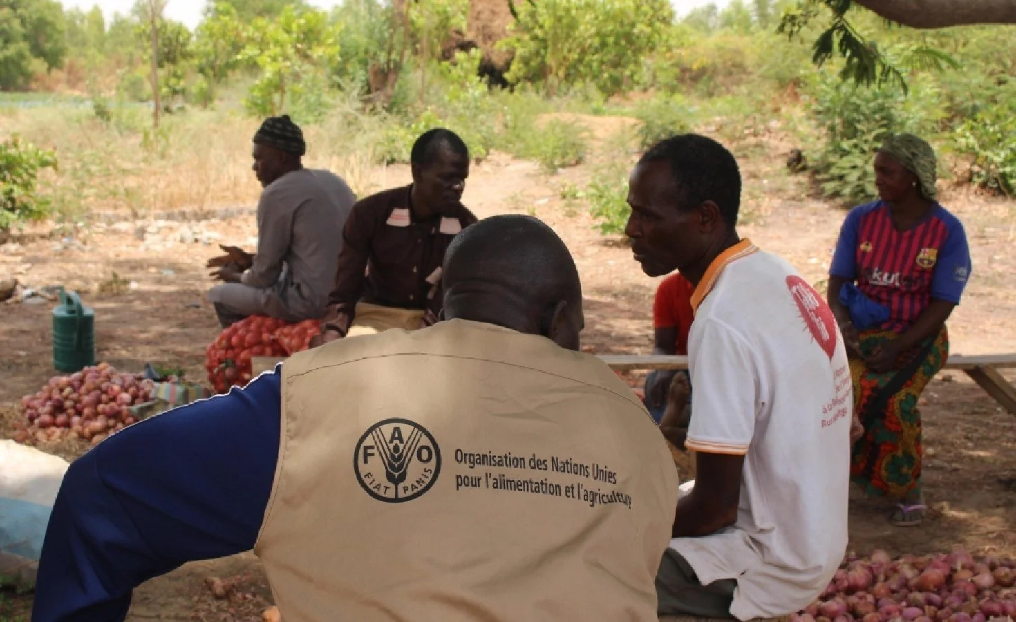  Senegal: Digitalizing Agriculture in Rural Senegal