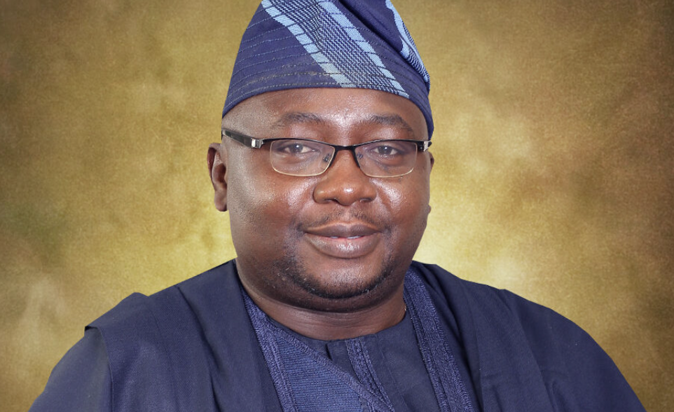 Poor Power Supply, Grid Collapse - Tasks Ahead of Nigeria's Power Minister Adelabu