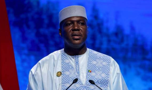 Mali delays February polls for 'technical reasons'