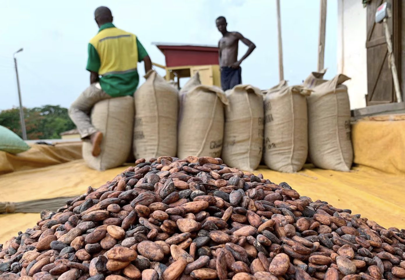 Ghana borrows up to $200 mln from cocoa traders to plug funding gap