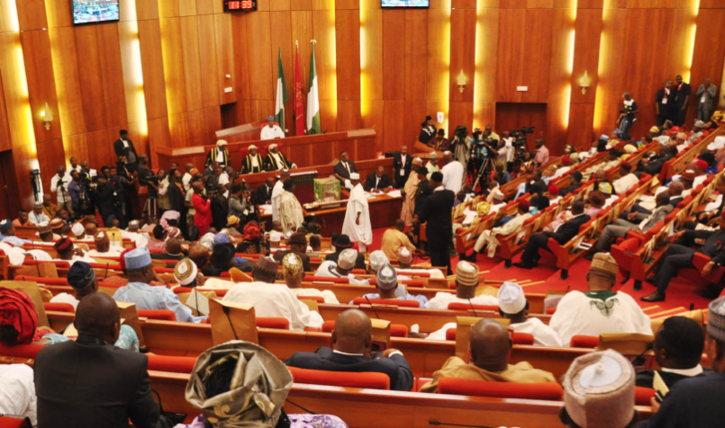 Nigeria Killings - Senate Gets Bill On Self-Defence