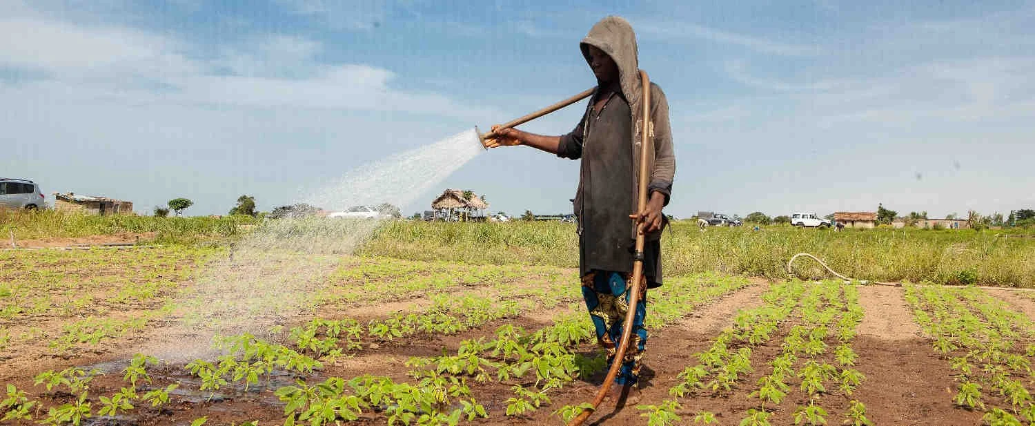 Modernizing Agriculture - African Development Fund Project Changes Lives in Benin's Ouémé Valley