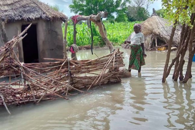 Cameroon: AfDB and WFP Support Families Affected By Flooding in Cameroon's Far North