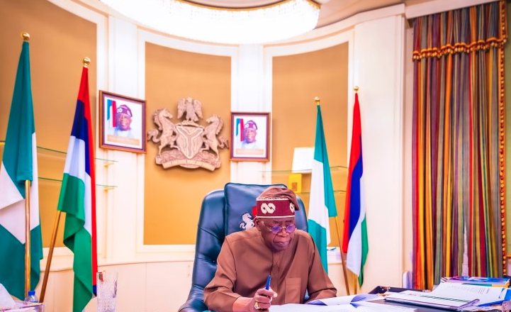 Nigeria: Tinubu Appoints New Secretary for Civil Defence, Immigration Board