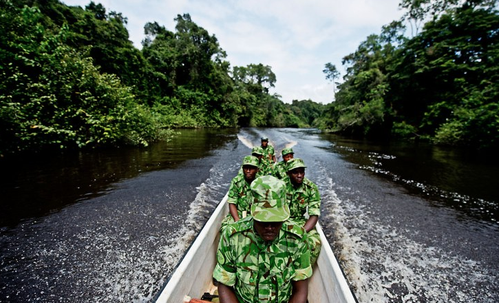 Africa: Wild Meat Is Eaten By Millions, but Puts Billions At Risk - How to Manage the Trade