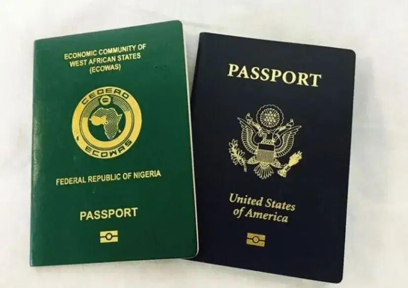 Nigeria: U.S. Moves to Strip Nigerian of Citizenship Over $91m Tax Fraud