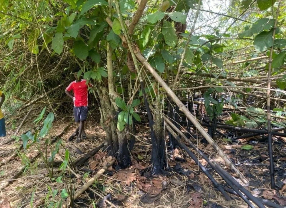 Liberia: Communities Elated Over Reported Oil Discovery