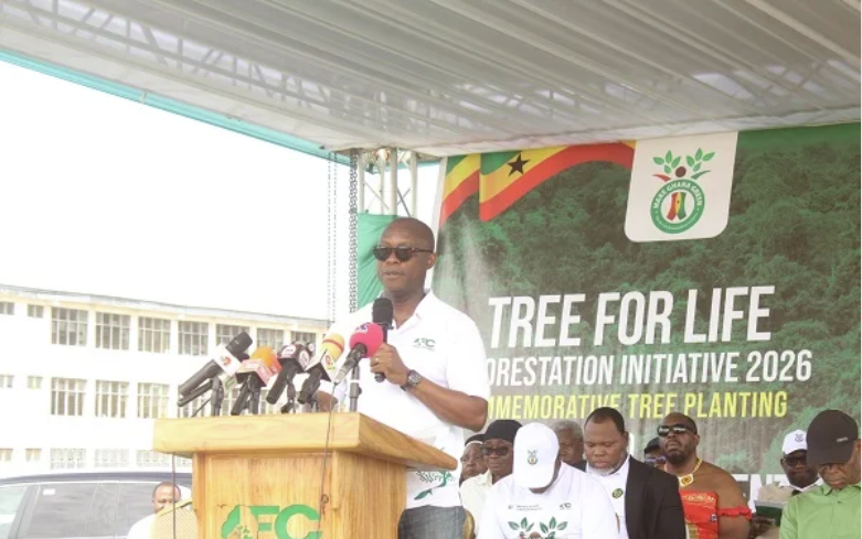 Ghana Earns $260m From Timber Exports, Domestic Sales in 2025 - CEO Forestry Commission