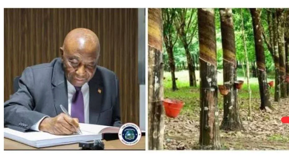 Liberia: Boakai Bans Export of Unprocessed Rubber