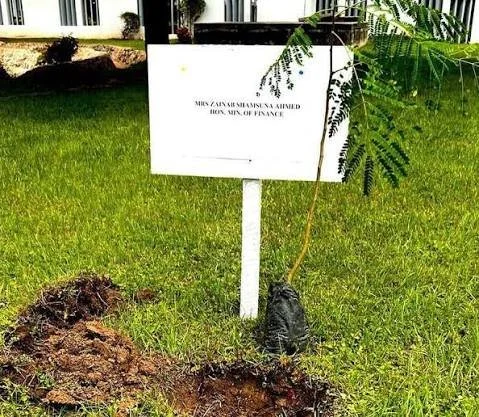 Nigeria: Natasha Unveils 10,000 Trees Project, Free Campus Wi-Fi in Kogi Central