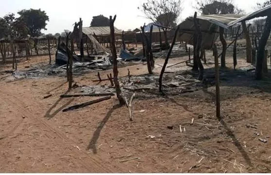 Nigeria: Bandits Have Burnt 7 Niger Villages, Say Borgu Youths
