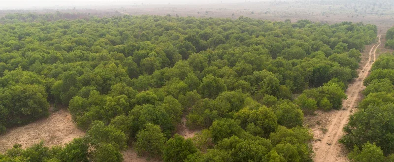 Togo - U.S.$1 Million Grant to Address the Humanitarian Emergency in the Savanes Region