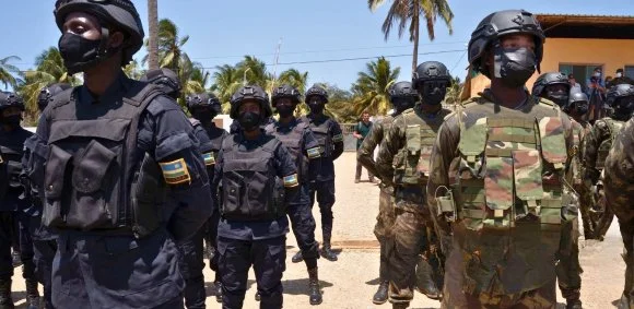 Mali: Can Mali's Fla-Jnim Insurgent Alliance Survive Its Internal Divisions?