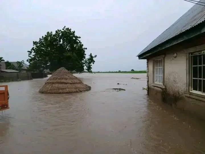 Nigeria: Nine-Hour Rainfall Flooded Our Homes in Benue - Victims