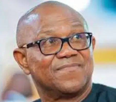  Nigeria: Peter Obi Wants to Destroy APGA That Made Him - Opara