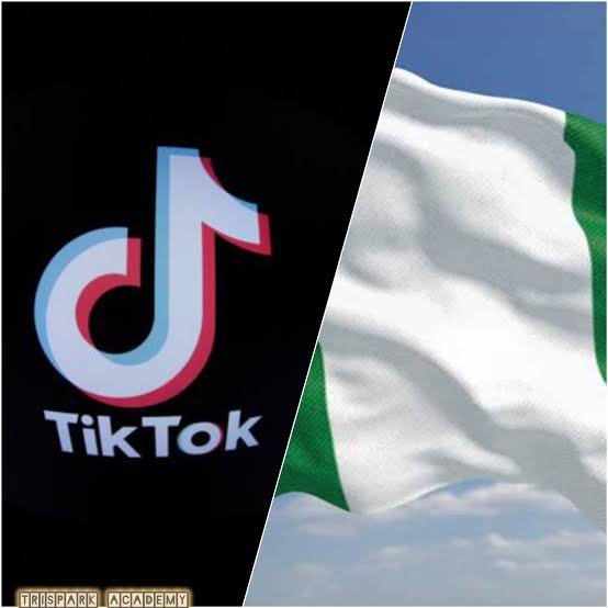 Nigeria: CSOs Demand Probe of TikTok Blackout in Northern Nigeria