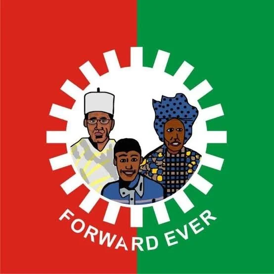 Nigeria: LP Chief, AA Candidate to Sue INEC Over Alleged Alteration of Ogun PDP Register