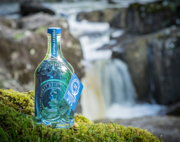 McQueen Gin