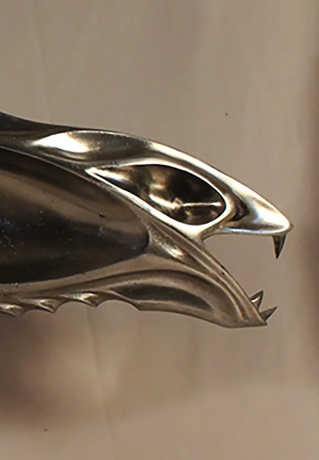 Silver Fish