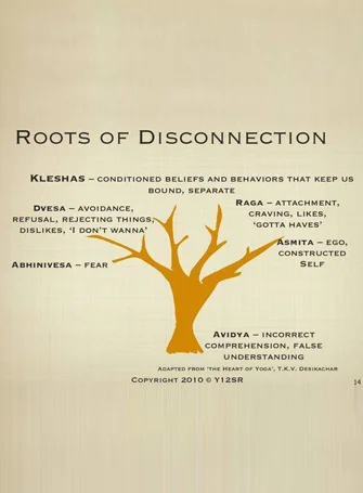 Roots Of Disconnection