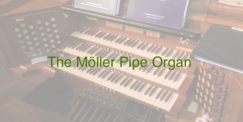 Moller.jpg