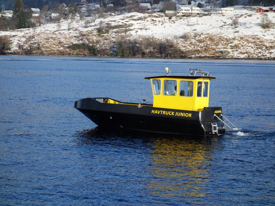 DSC02468_0.jpg