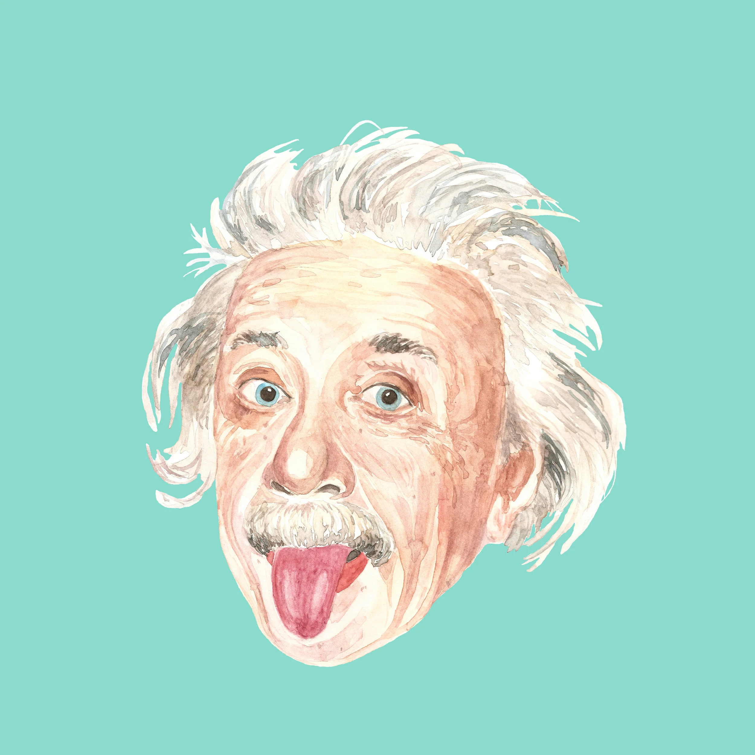 Planungen für den Einzug von Albert Einstein in die Sedelhöfe