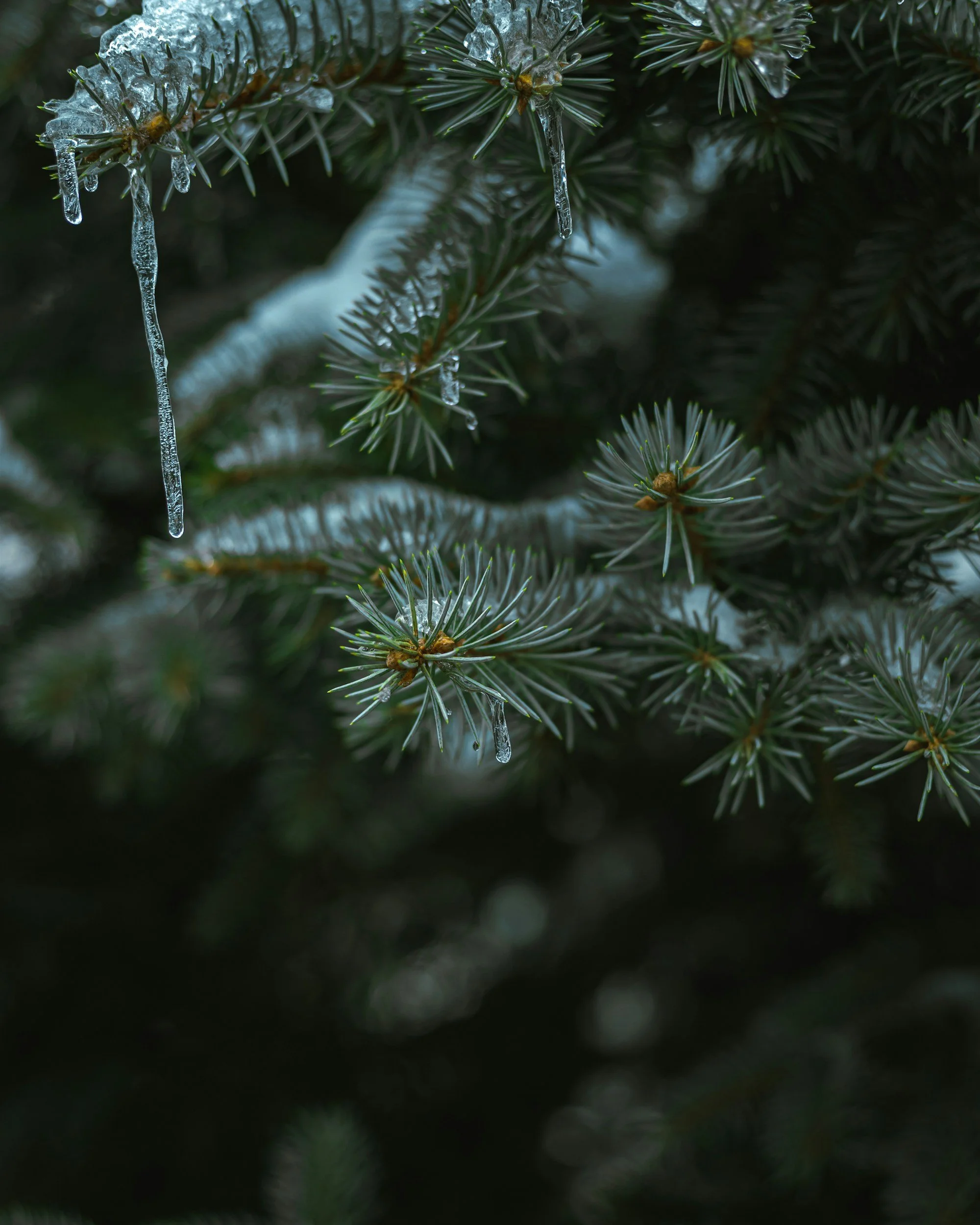 unsplash-image-QmYGkWtzrRo.jpg
