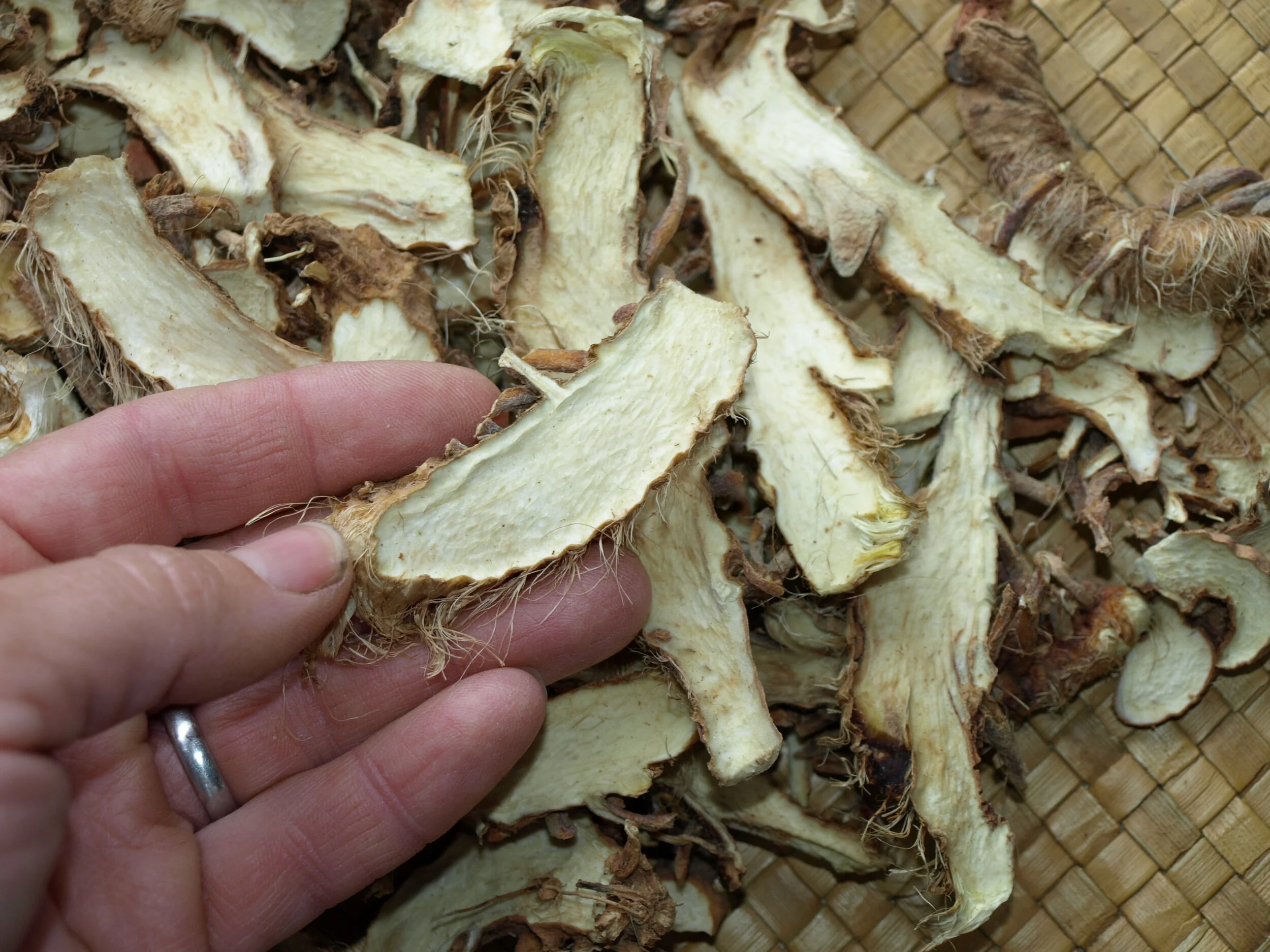 Virtual Open House via Zoom