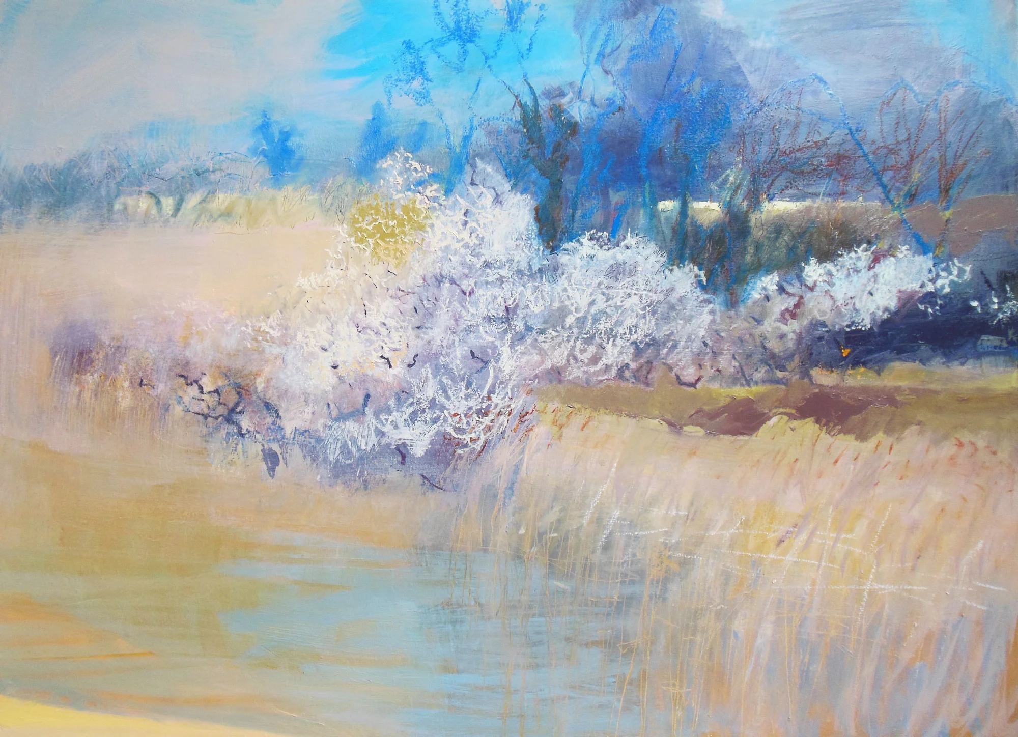 Fragile Habitats, Suffolk Blackthorn