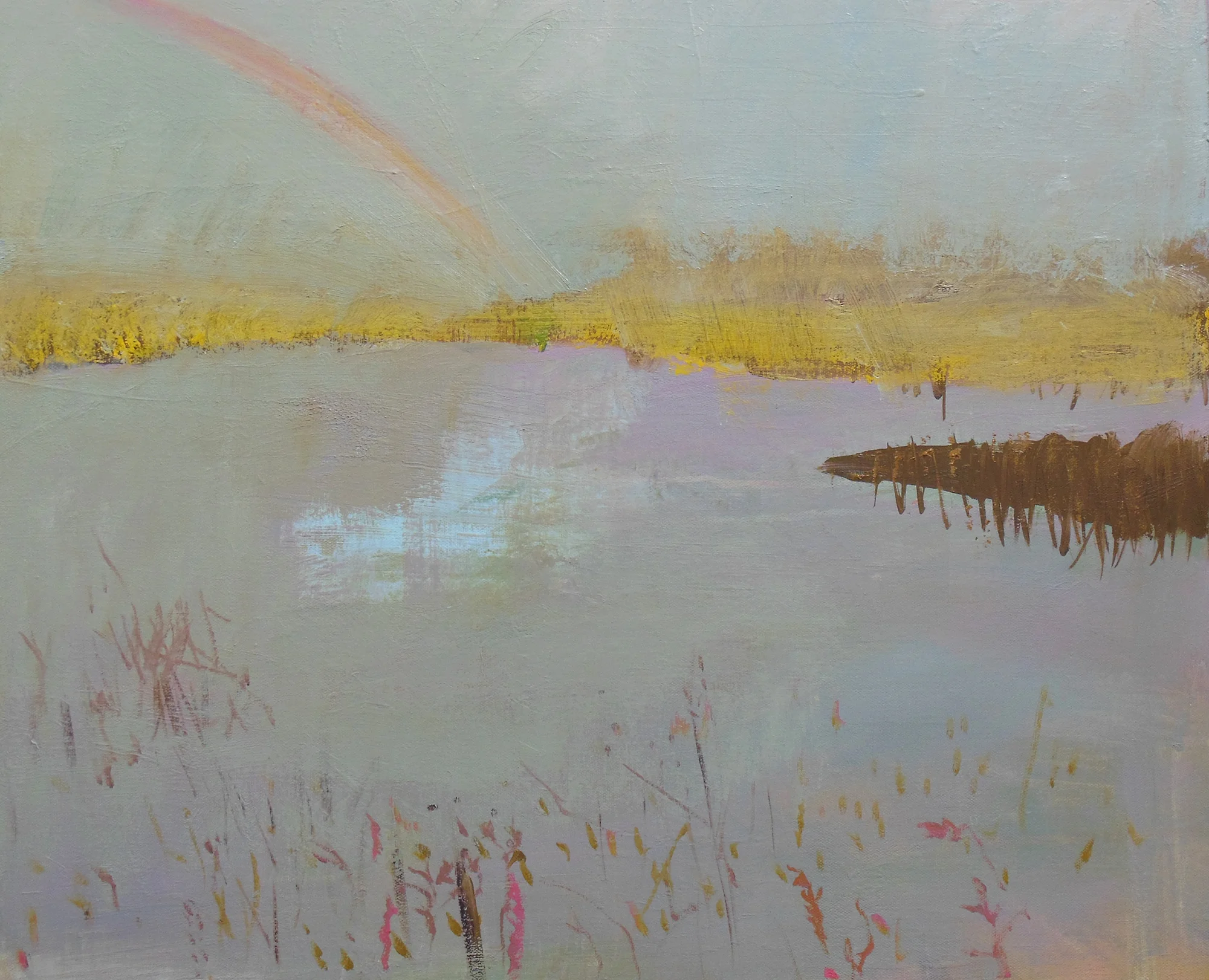 Fragile Habitats, Saltings-High Tide