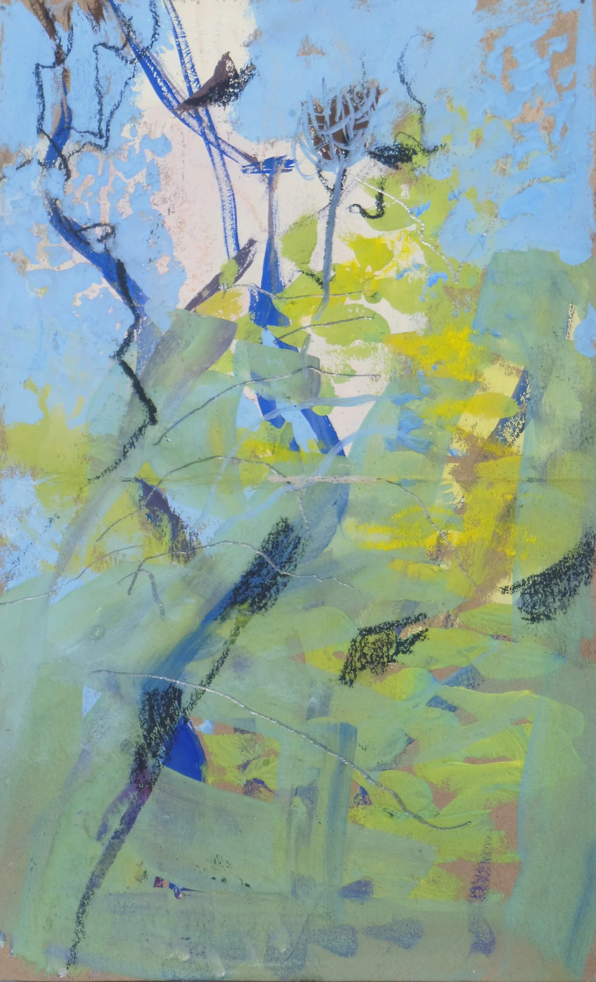 Field Sketch for Rookery
