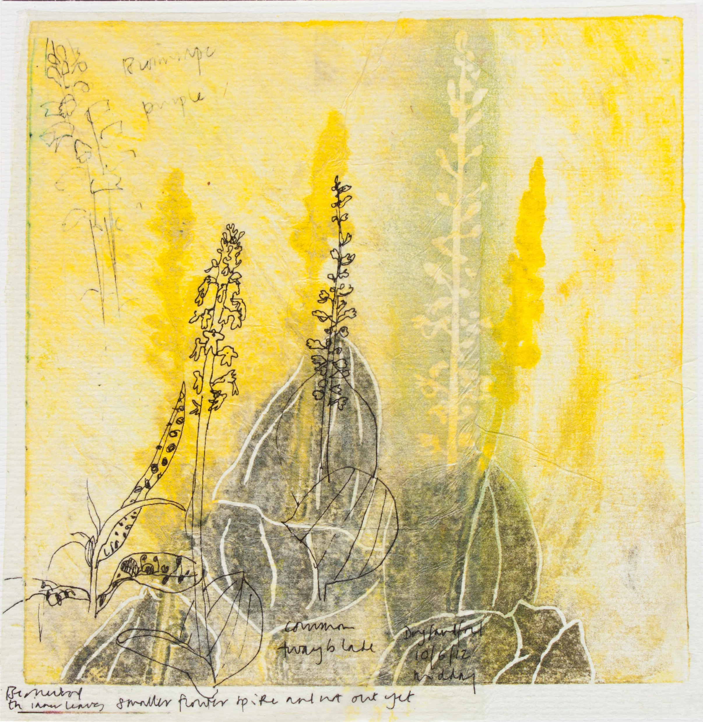 Twayblade Sketchbook, mixed media print techniques
