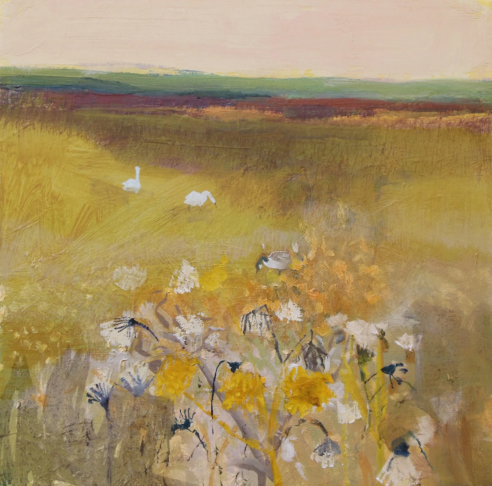 Sow Thistle and Swans, Otmoor, oil on canvas, 300mm x 300mm...jpg