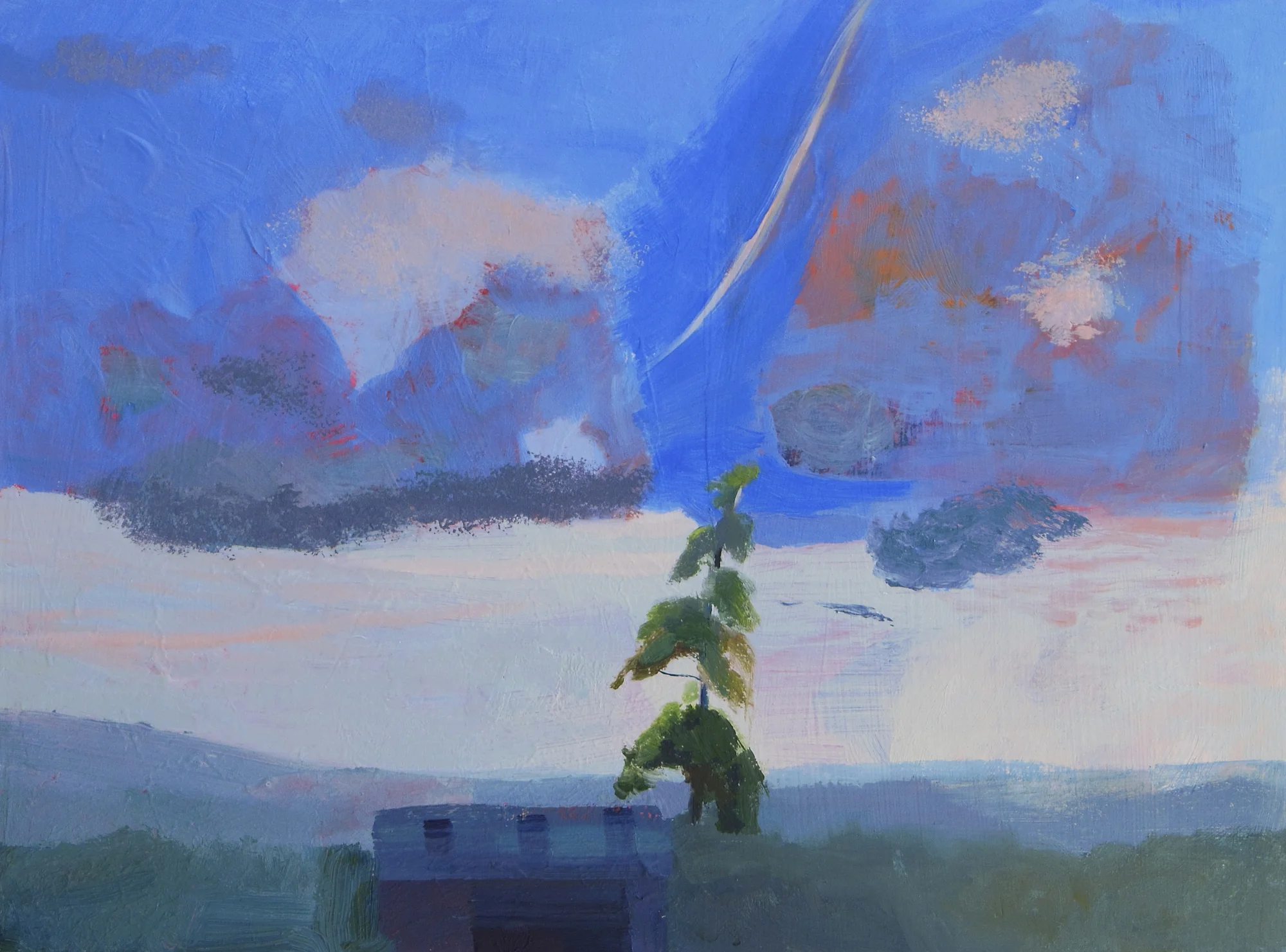 The Tall Tree, oil on board.jpg