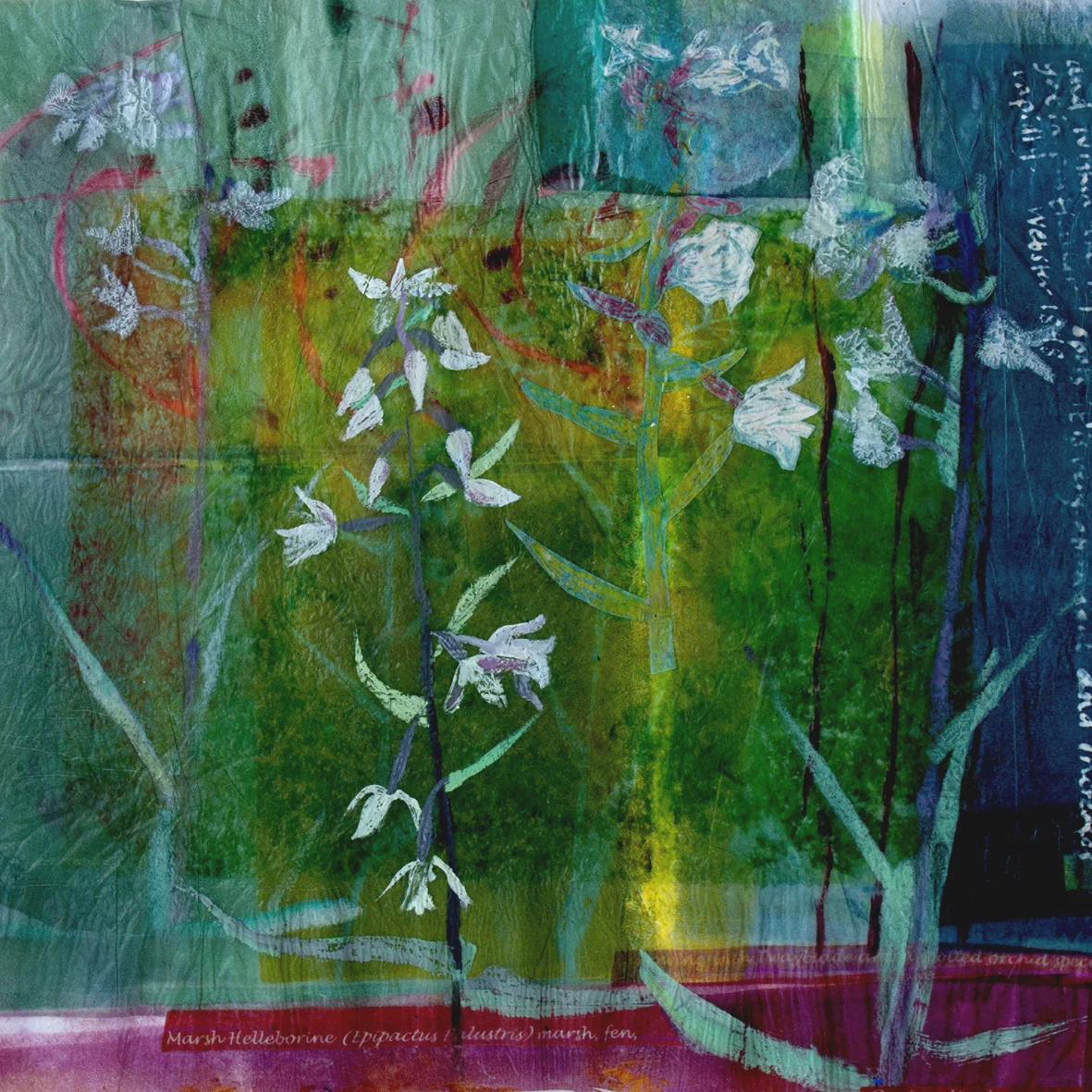 ‘in watery places’ (Marsh Helleborine and Twayblade) mixed media print techniques