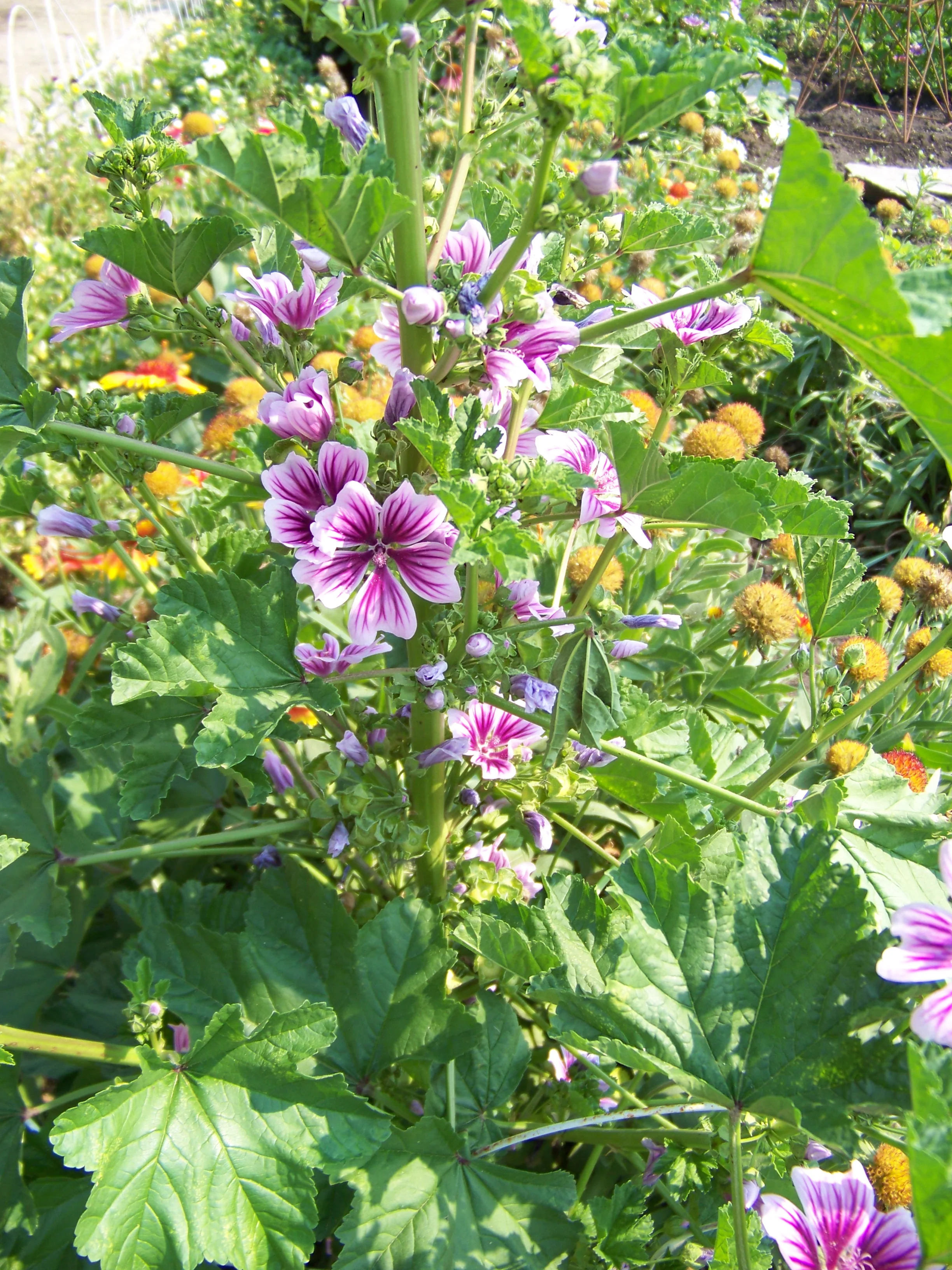 New Website is Here!