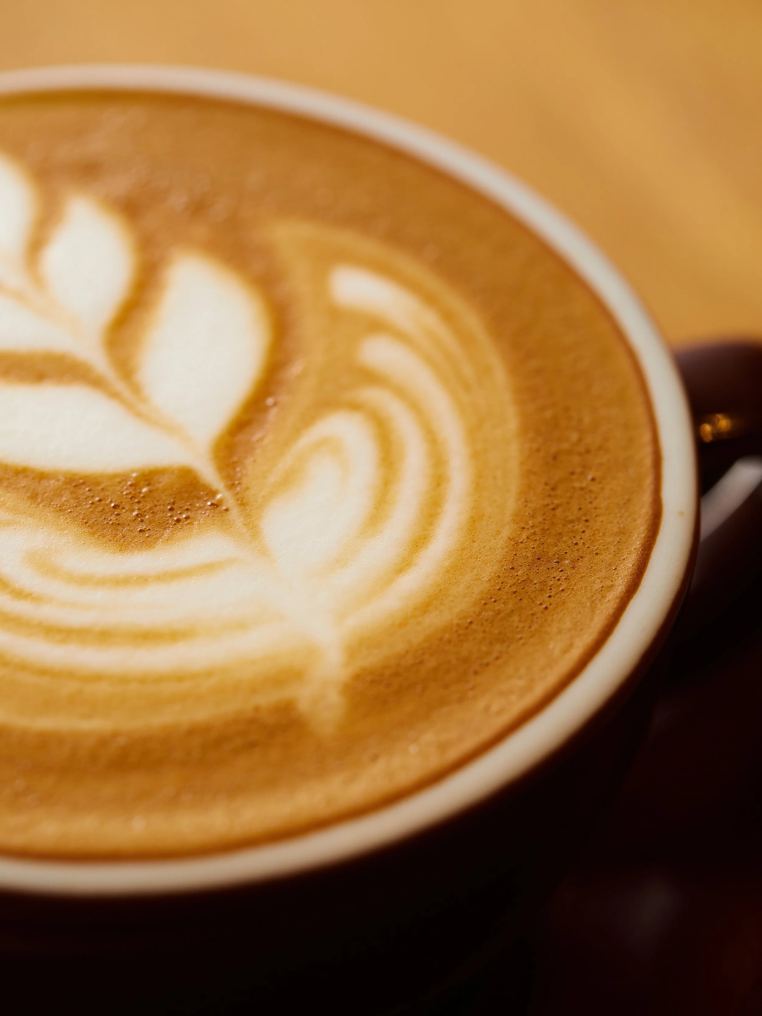 Hot Latte2.jpg