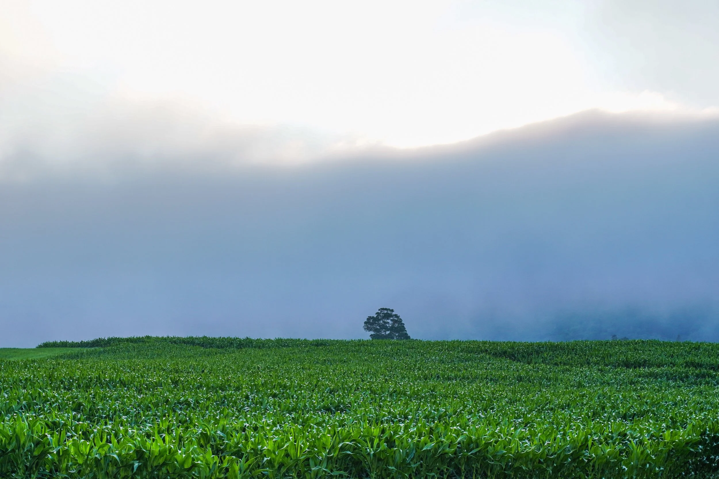 Over there by Dave Snow Steadii Creative