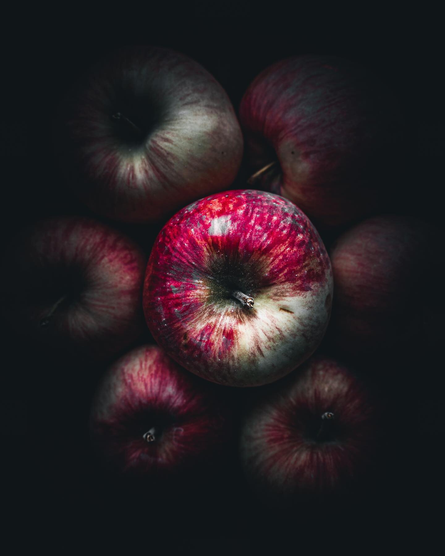 Take a Bite 🍎
.
. 
.
@ediblemaritimes #readlocal #foodforthought #localstories #steadiicreative #photography