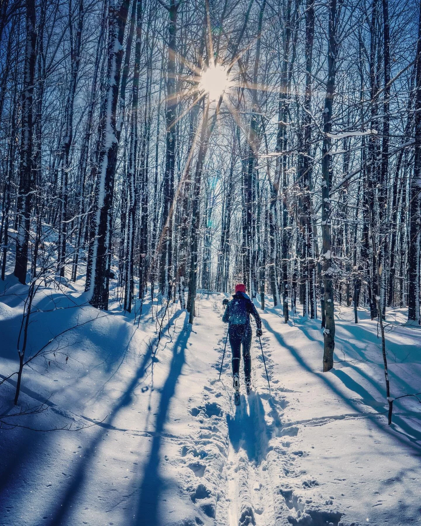 Follow the sun ☀️❄️