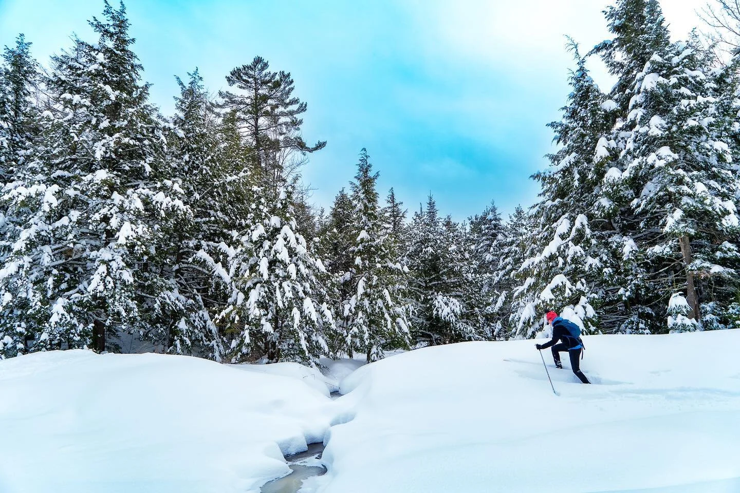 Making tracks
.
.
.
.
#winter #explorecanada #gatineauhills #gatineaupark #forceofnature #getoutside #backcountryskiing #xcskiing #salomonwmn #salomonnordic
