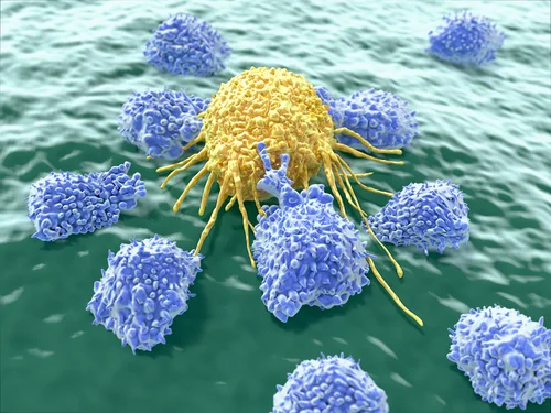 dendritic-cells2.jpg