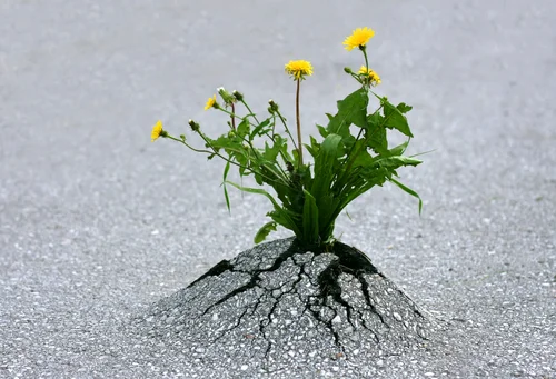 find strength 2.jpg