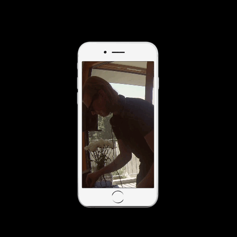 STEINDOR001.gif