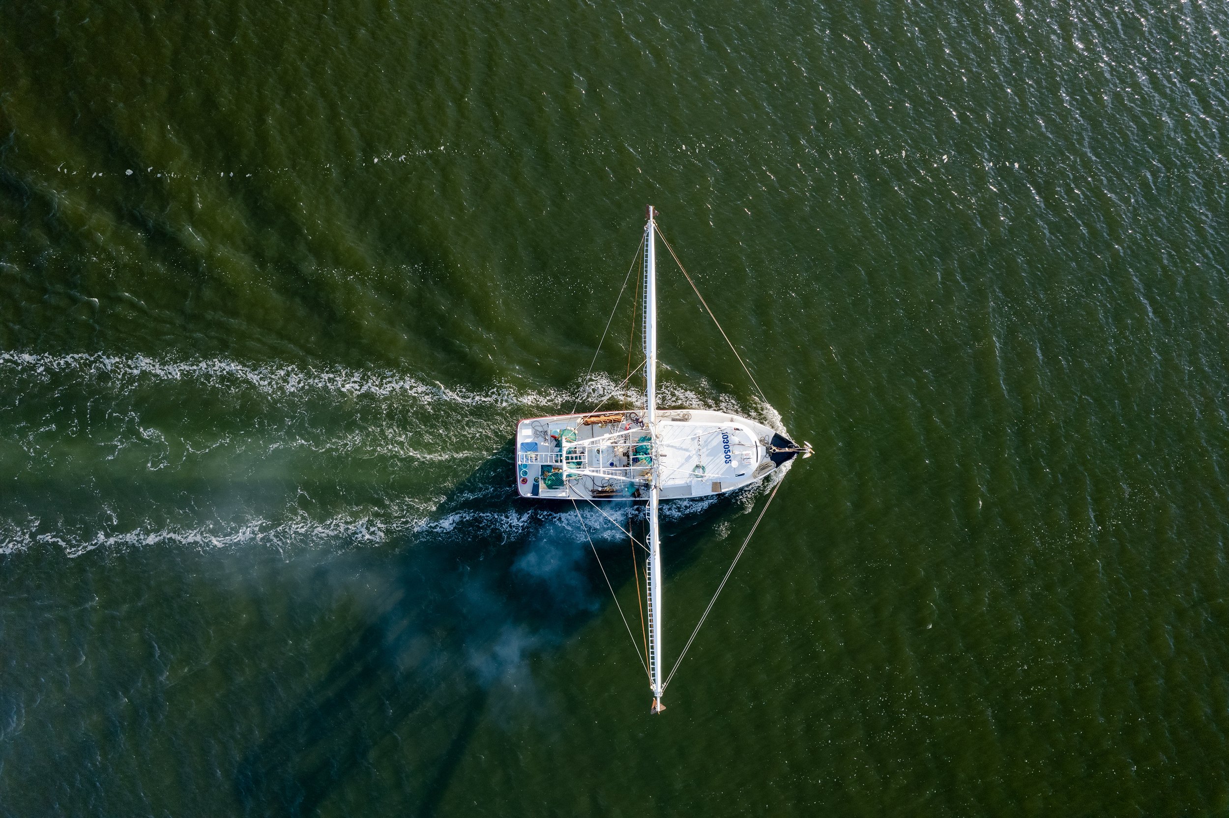 FV-Stephanie-Lee-Drone-(12-of-26).jpg
