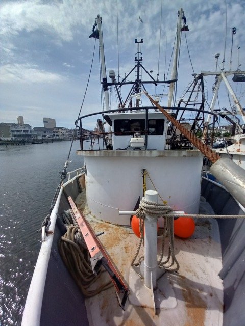 Resized_20220621_160324-1.jpeg